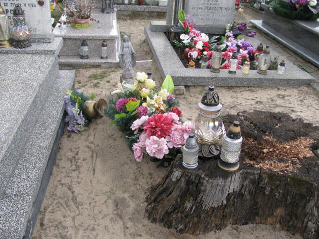 Agnieszka Kapciak Jasieniec - Grobonet - Wyszukiwarka osób pochowanych